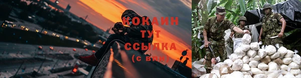 jwh Богородицк